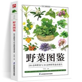 正版书籍野菜图鉴野外识别速查图鉴  生物科学 生活百科书籍 野生植物花草识别图解书籍 植物特性药学图鉴 中医草药材识别图全集书