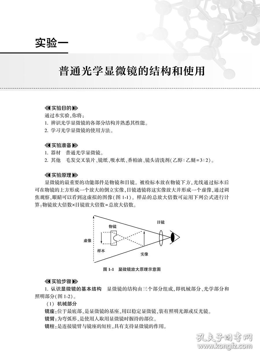 正版细胞生物学实验教程中英版第2二版全国高等学校教材供临床生命科学及相关专业 言惠文 叶茂主编 人民卫生出版社