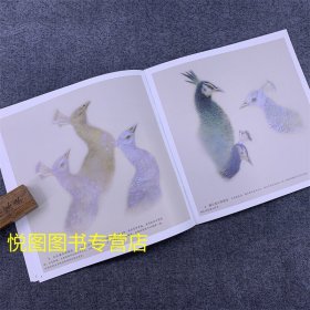 学画宝典中国画技法：工笔孔雀 万利民著 孔雀的画法 国画工笔画翎毛走兽画动物画基础入门步骤讲解教程福建美术出版9787539322414