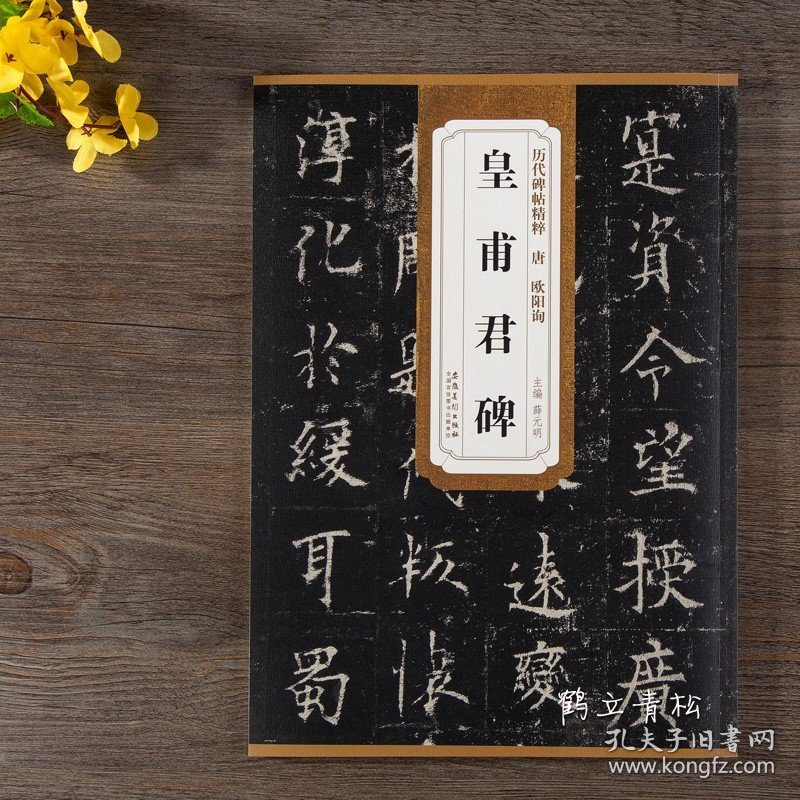 唐欧阳询皇甫君碑 皇甫诞碑历代碑帖精粹 薛元明主编 楷书毛笔书法字帖 安徽美术