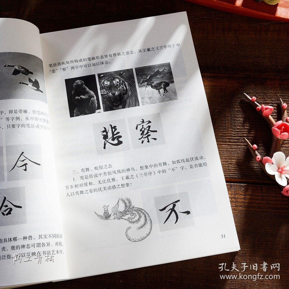 中国历代书法理论研究丛书 解析与图文互证全十册张怀瑾断书 黄庭坚书论 孙过庭书谱 欧阳询三十六法 姜夔续书谱 董其昌画禅室随笔