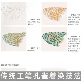 传统工笔孔雀着染技法+孔雀技法·画集孔雀画法入门教学 绘制基础入门步骤基础白描线描画谱临摹国画入门教程教材