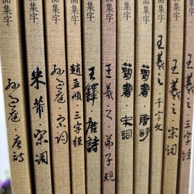 全12册 中国历代书法名家作品集字 米芾王羲之孙过庭赵孟頫王铎颜真卿唐诗宋词千字文简书赵孟俯楷书行书草书字帖临摹全集高清放大