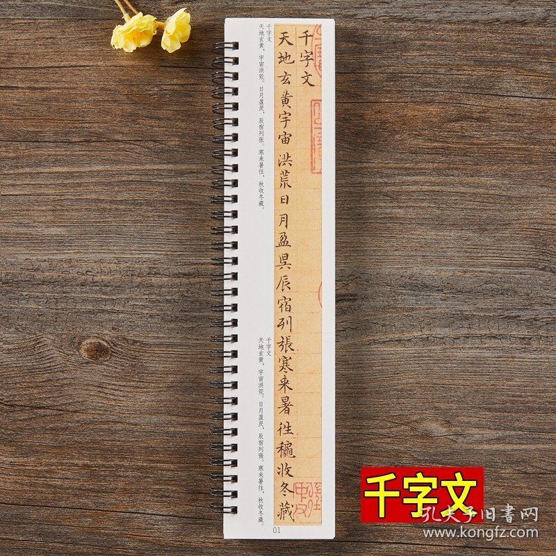 文徵明小楷千字文琴赋草堂十志醉翁亭记文征明硬笔毛笔书法字帖书法成人学生初学入门经典碑帖全文原大版墨迹本近距离临摹字卡