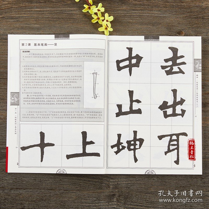 魏碑张黑女墓志张猛龙碑余中元教你学书法成人初学者毛笔楷书入门教程书魏碑毛笔书法字帖