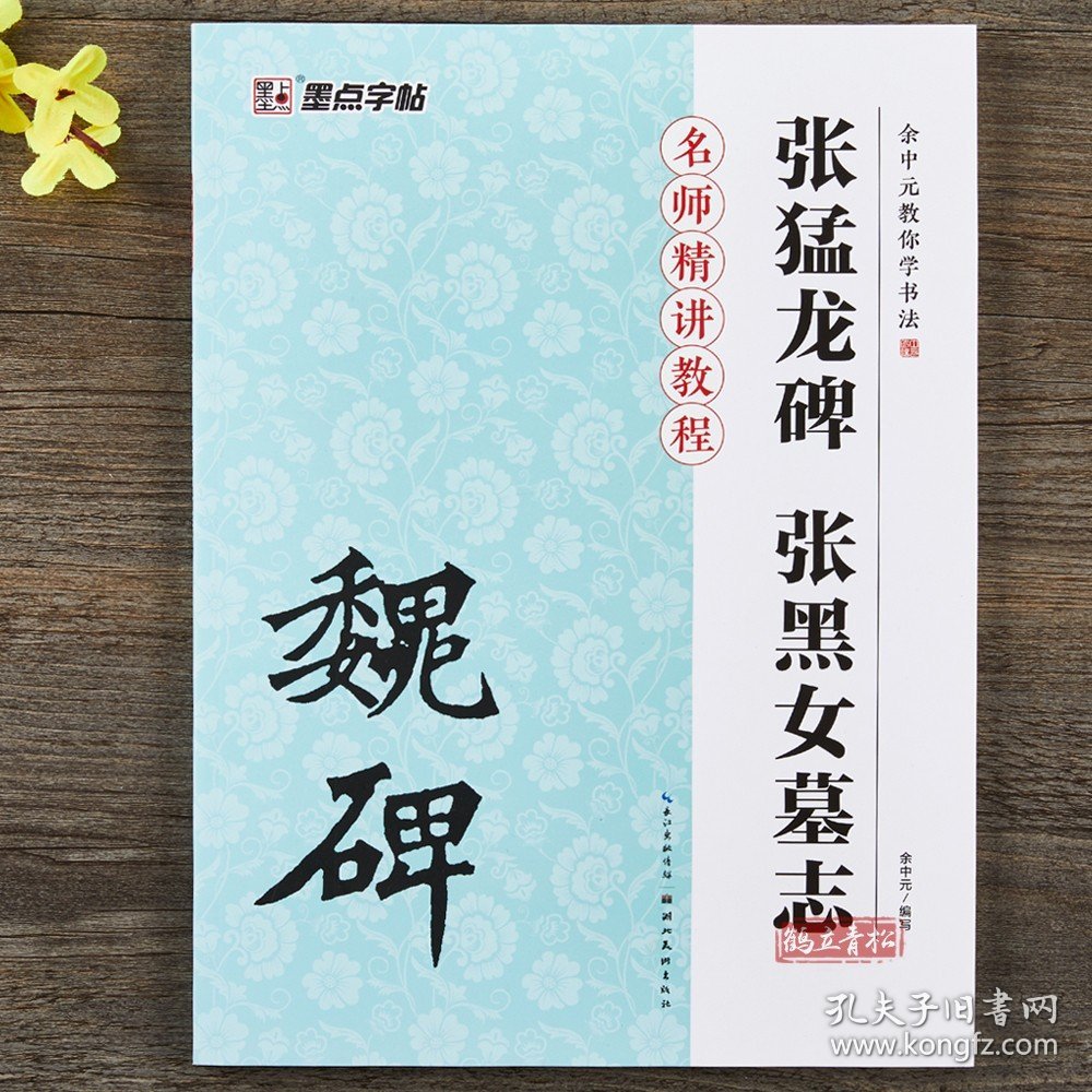 魏碑张黑女墓志张猛龙碑余中元教你学书法成人初学者毛笔楷书入门教程书魏碑毛笔书法字帖