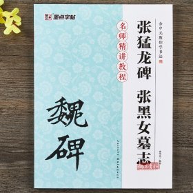 魏碑张黑女墓志张猛龙碑余中元教你学书法成人初学者毛笔楷书入门教程书魏碑毛笔书法字帖