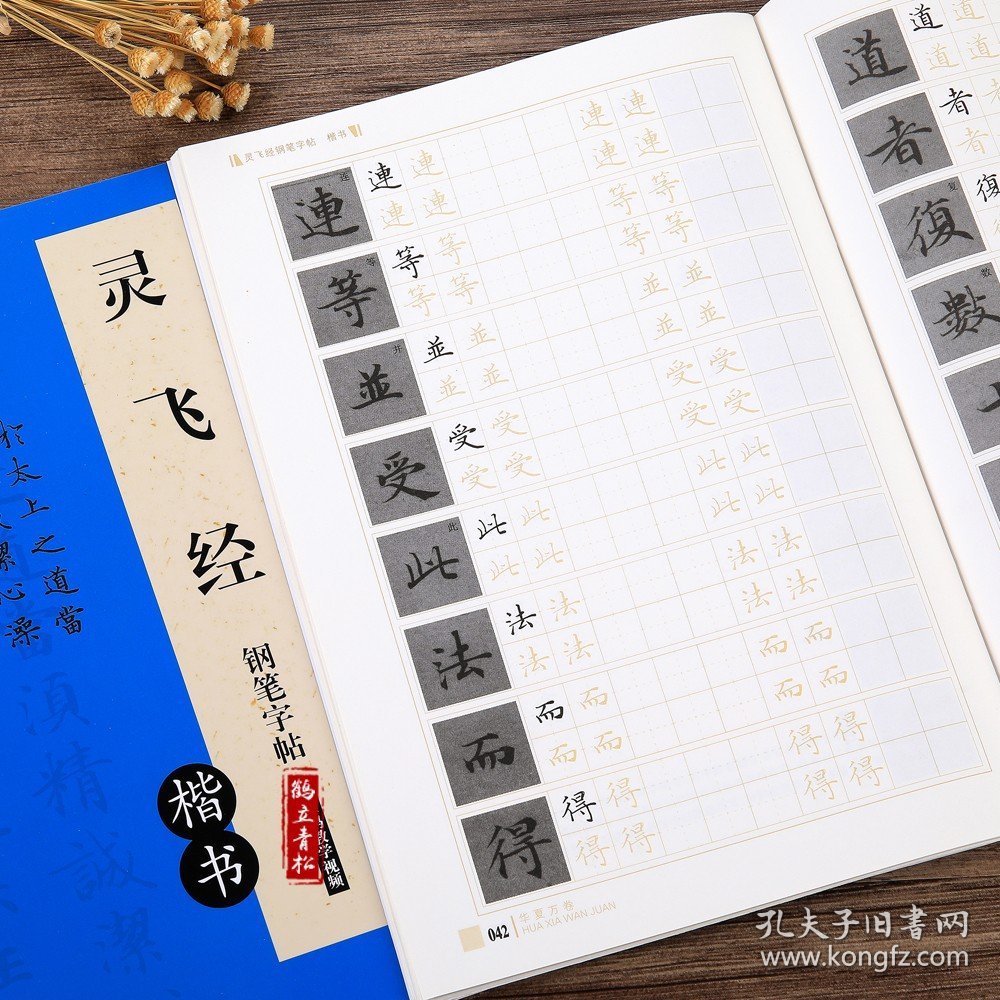 灵飞经钢笔字帖卢中南古帖 笔法及其特点教程 硬笔小楷楷书入门书法字帖 正楷书法书华夏万卷书籍 正版