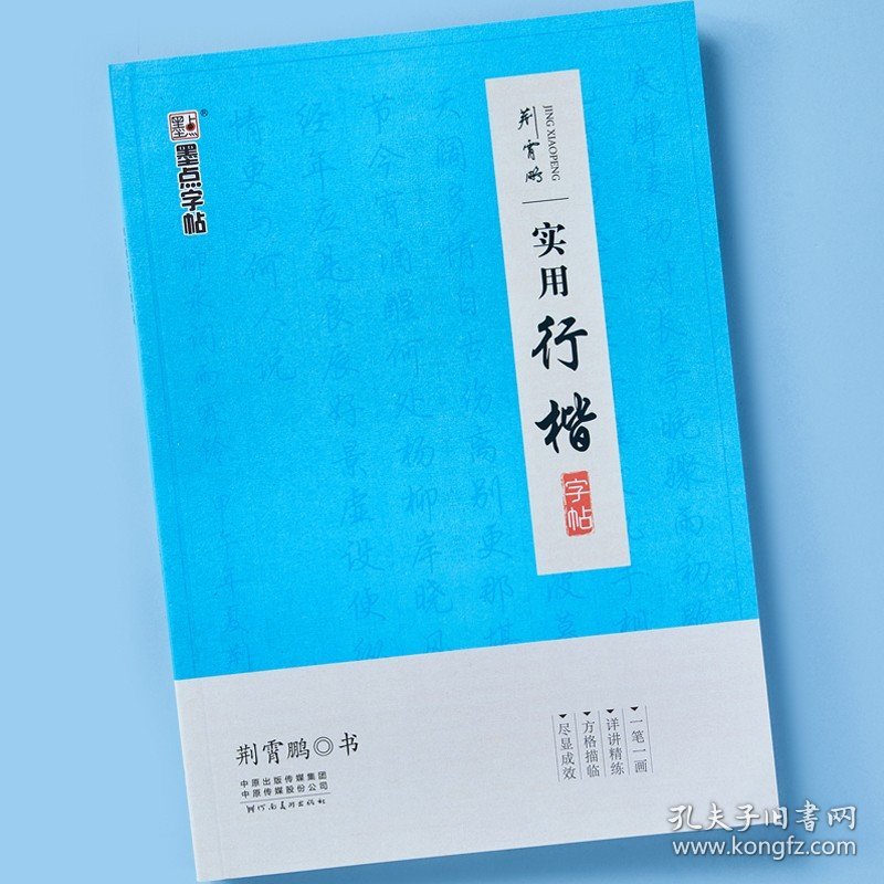 荆霄鹏实用行楷字帖考试练字帖墨点名家手写硬笔书法成人高中学生行楷书字帖速成临摹钢笔书法入门基础教程书
