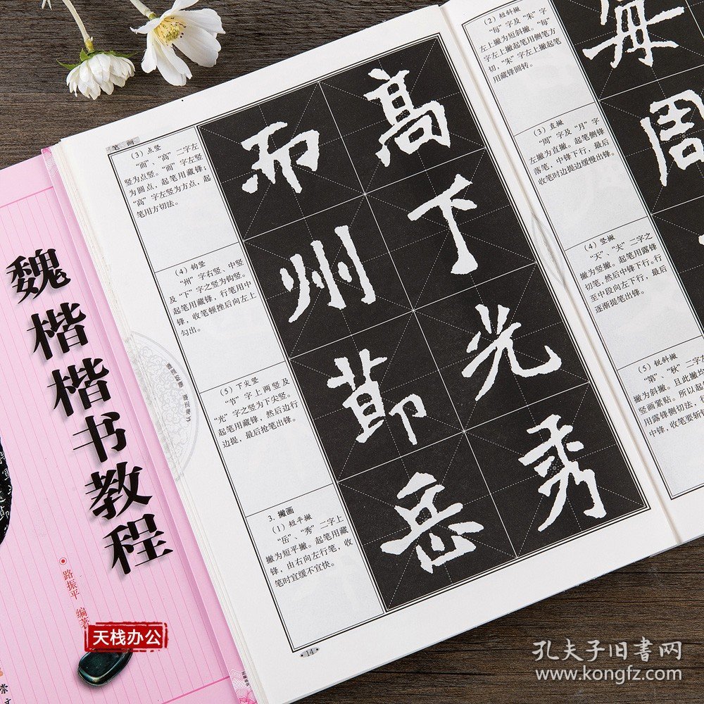 魏楷楷书教程张猛龙碑 路振平编著送宣纸 中国书法初学入门基础培训教程学生成人书法毛笔碑帖字帖培训教材图书 崇文书局