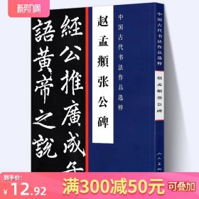 【大尺寸8开】赵孟頫张公碑 中国古代书法作品选粹 赵孟頫楷书临摹碑帖完整版拓本行书楷书字帖临习高清印刷人民美术