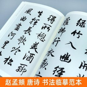 【8开76页】赵孟頫 唐诗 中国历代书法名家作品集字对照毛笔书法临帖集字古诗词赵孟俯行书书法字帖 临摹对照范本碑帖行楷 人美