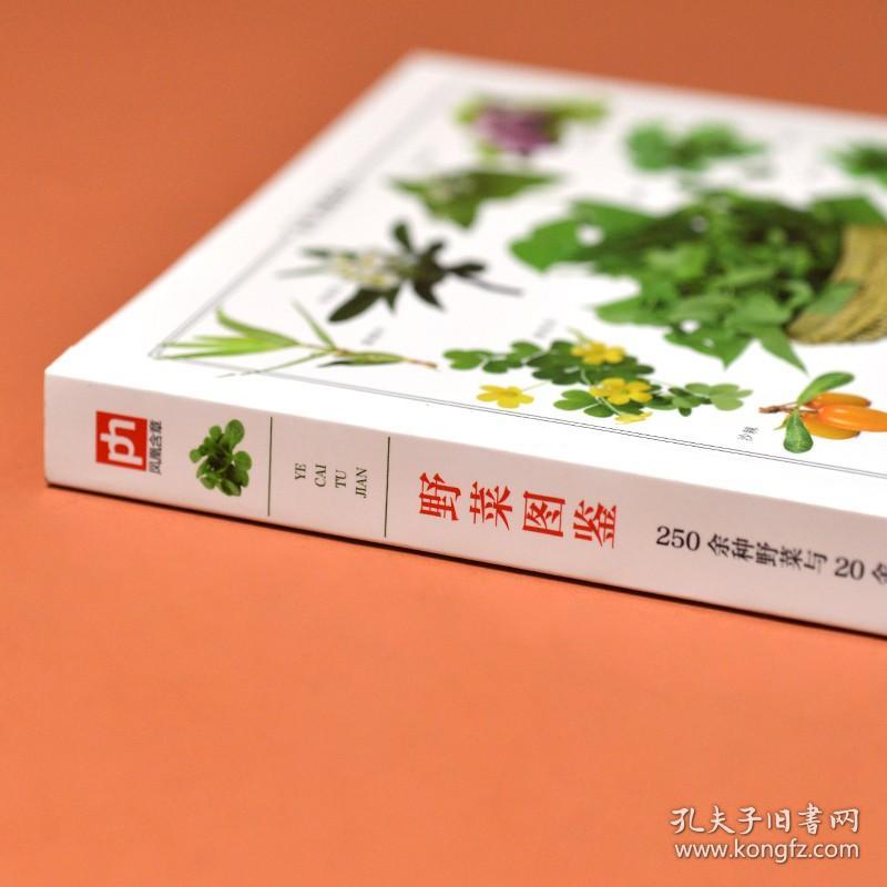 正版书籍野菜图鉴野外识别速查图鉴  生物科学 生活百科书籍 野生植物花草识别图解书籍 植物特性药学图鉴 中医草药材识别图全集书