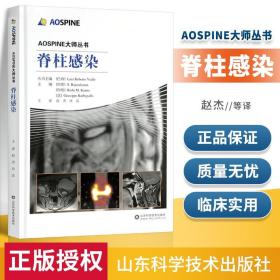脊柱感染/AOSPINE大师丛书