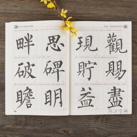 柳公权玄秘塔碑精讲精练毛笔书法等级考试培训教材升级版 视频教学楷书毛笔书法字帖艺术培训教程