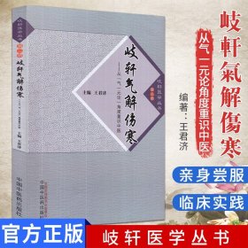 岐轩医学丛书 岐轩气解伤寒从气一元论角度重识中医 9787513227452 王君济 中国中医药精选经典书籍