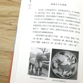 胡阿祥解说琅琊榜 葛剑雄品读海宴历史小说作品琅琊榜中魏晋南北朝史学地理研究历史人物小说故事书籍
