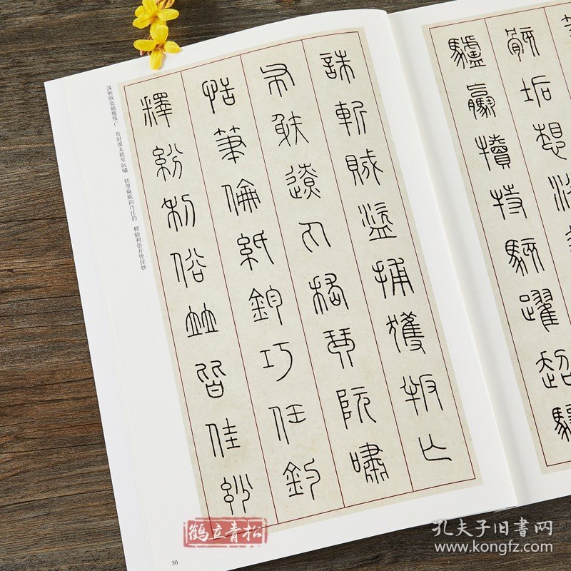 王福庵篆书千字文 清代篆书名家经典彩色高清放大本超清原帖 毛笔书法篆书字帖古帖临摹附繁体旁注 赵宏编中国书店