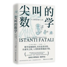 正版现货 尖叫的数学：令人惊叹的数学之美 翁贝托博塔兹尼 著博集天卷湖南科学技术出版科普读物数理化数学史读物书籍新图书