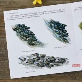 学画宝典 孔雀 中国画技法/李多木/写意翎毛画法步骤 画谱图集书籍