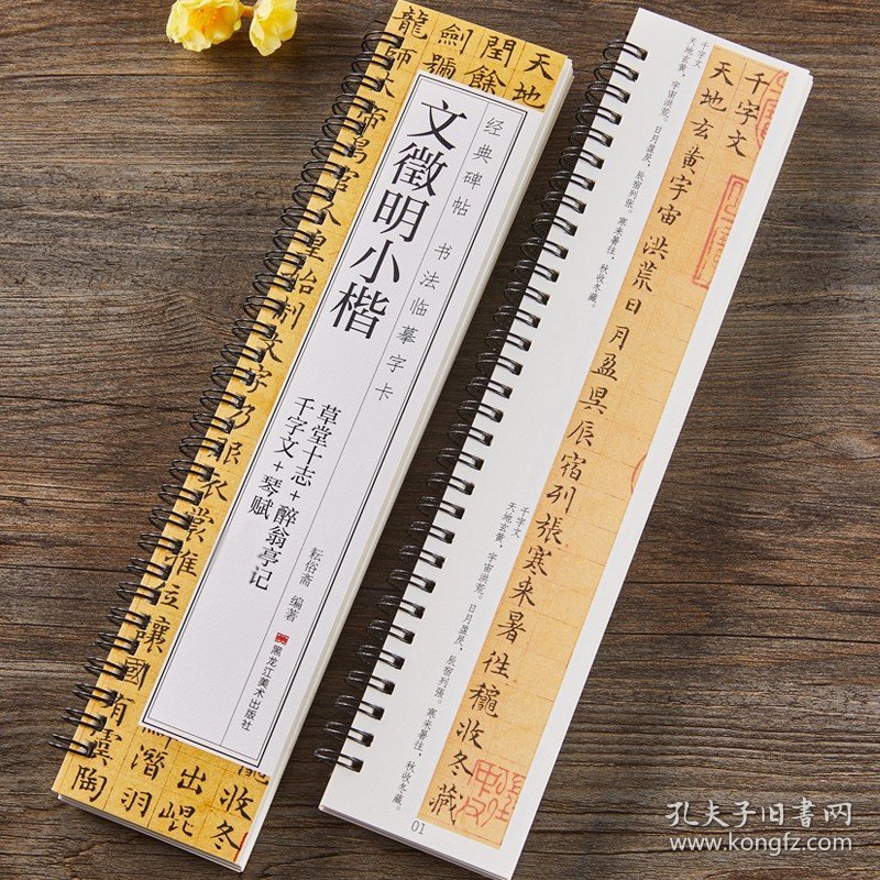 文徵明小楷千字文琴赋草堂十志醉翁亭记文征明硬笔毛笔书法字帖书法成人学生初学入门经典碑帖全文原大版墨迹本近距离临摹字卡