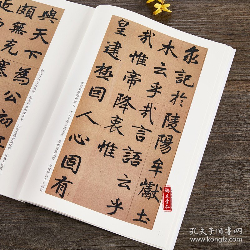 正版 赵孟頫三门记 胆巴碑 附碑帖原尺寸拉页挂图 碑帖善本 16开原碑帖原大 赵体楷书行书临摹字帖