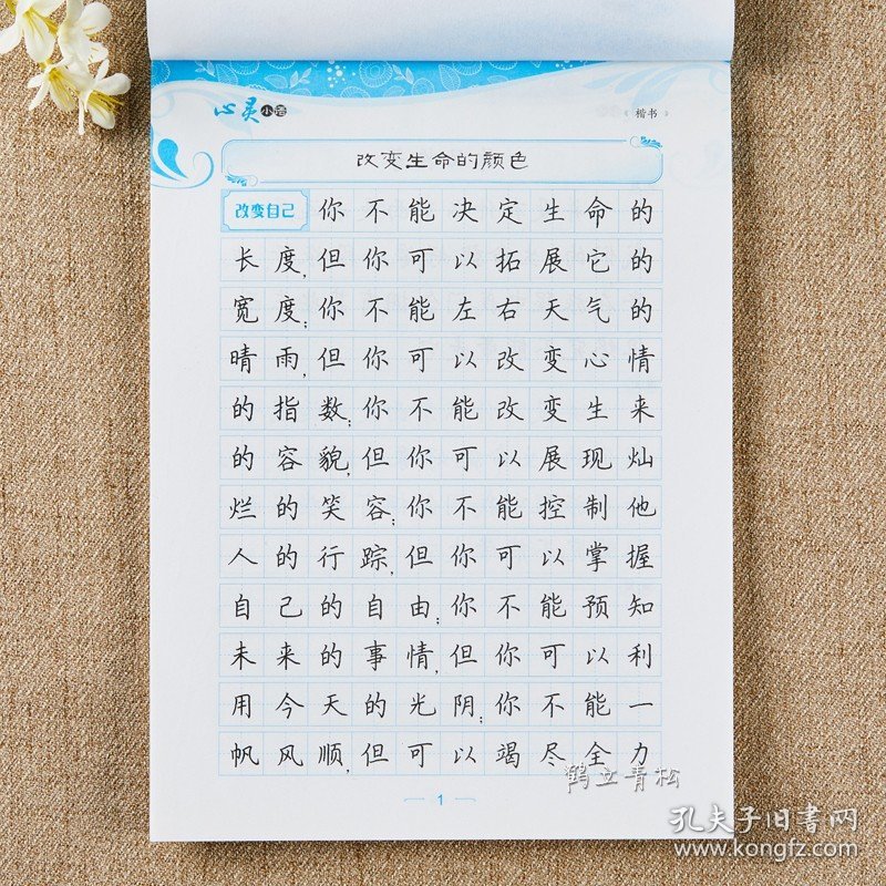 墨点字帖经典文化系列心灵小语楷书楷体字帖学生成人公务员速成练习钢硬笔书法临摹纸荆霄鹏字帖纸