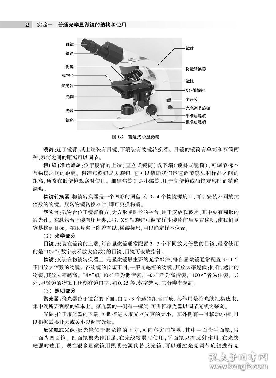 正版细胞生物学实验教程中英版第2二版全国高等学校教材供临床生命科学及相关专业 言惠文 叶茂主编 人民卫生出版社