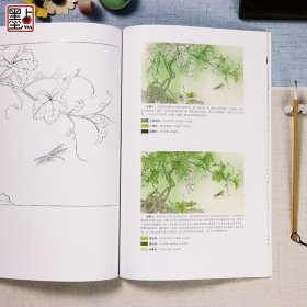 工笔梅兰竹菊+工笔草虫+工笔宋画 3册工笔技法解析与原大画稿 国画技法基础入门书籍 工笔画着色画法白描设色技法图解 墨点美术