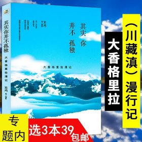 其实你并不孤单川藏滇漫行记 云南西藏四川旅行漫记 西南地区线旅游书籍发现走遍中国康巴腹地藏地孤旅时光停留的地方深度游