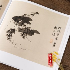 徐渭书画集 中国画大师经典系列丛书 徐渭 写意花卉 杂花 山水人物 泼墨水墨