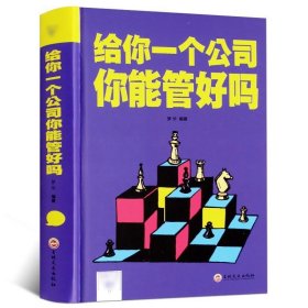 给你一个公司你能管好吗 商业企业公司经营管理书籍 团队组建 企业战略 决策制定 市场营销企业文化等管理方面讲解