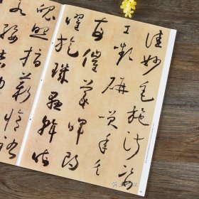 正版 怀素草书千字文 碑帖珍品临摹本 彩色放大本 繁体释文 草书毛笔书法字帖 孙宝文 吉林出版集团