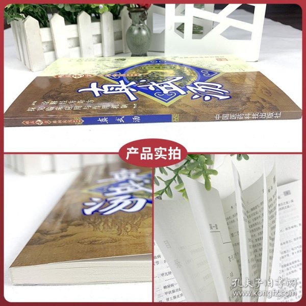 真武汤 难病奇方系列丛书 中医汤药参考工具书籍 疑难病应用 真武汤衍生方镇肝熄风汤衍生方 临床经验 病案医学书经方功能临床实用