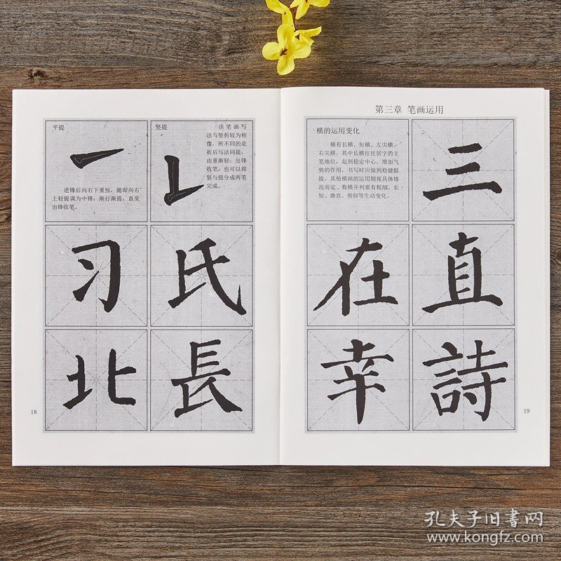 三元学生字帖 颜真卿颜勤礼碑楷书毛笔字帖教程书法入门自学习教材 笔画运用+部首结构+集字作品 颜体楷书毛笔字帖初学临摹