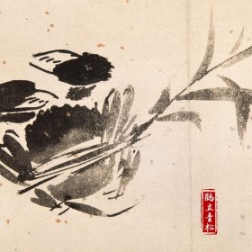 徐渭书画集 中国画大师经典系列丛书 徐渭 写意花卉 杂花 山水人物 泼墨水墨