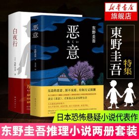 白夜行+恶意 东野圭吾推理小说两册套装 外国恐怖悬疑推理小说当代文学 日本恐怖悬疑小说代表作