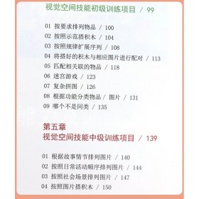 视觉空间训练 流程解析 孤独症康复训练师资培训参考教程 自闭症儿童视觉空间障碍训练方法书籍 孤独症患者视觉感表达技能训练书