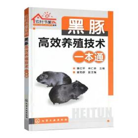 黑豚高效养殖技术一本通黑豚鼠养殖技术与疾病防治技术大全书荷兰猪饲养技术宝典黑豚饲养饲料配置与建厂安全饲养方法黑豚养殖技术