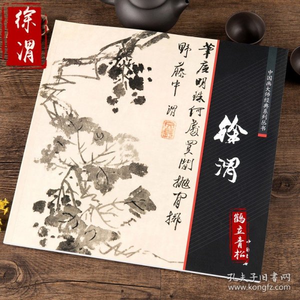 徐渭书画集 中国画大师经典系列丛书 徐渭 写意花卉 杂花 山水人物 泼墨水墨