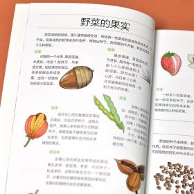 正版书籍野菜图鉴野外识别速查图鉴  生物科学 生活百科书籍 野生植物花草识别图解书籍 植物特性药学图鉴 中医草药材识别图全集书