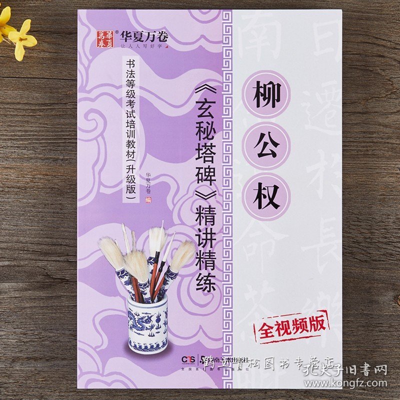 柳公权玄秘塔碑精讲精练毛笔书法等级考试培训教材升级版 视频教学楷书毛笔书法字帖艺术培训教程