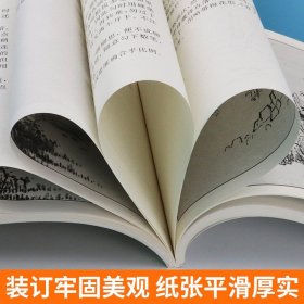 正版176页 唐宋元十六家山水画技法图解 附中国历代画论 古代传统国画大家作品集临摹染墨勾勒赵孟頫黄公望基础教程书籍刘松岩人美