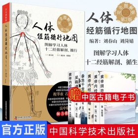 現(xiàn)貨 人體經(jīng)筋循行地圖 作者 劉春山 劉菏婧 中國針灸學會針灸灸法分會副主任委員吳中朝傾力推薦