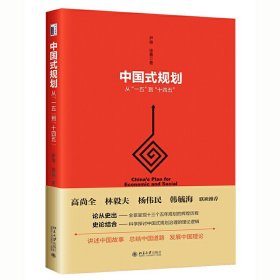 现货正版 中国式规划：从“一五”到“十四五” 尹俊 徐嘉 著北京大学 讲述中国故事总结中国道路发展中国理论中国式规划