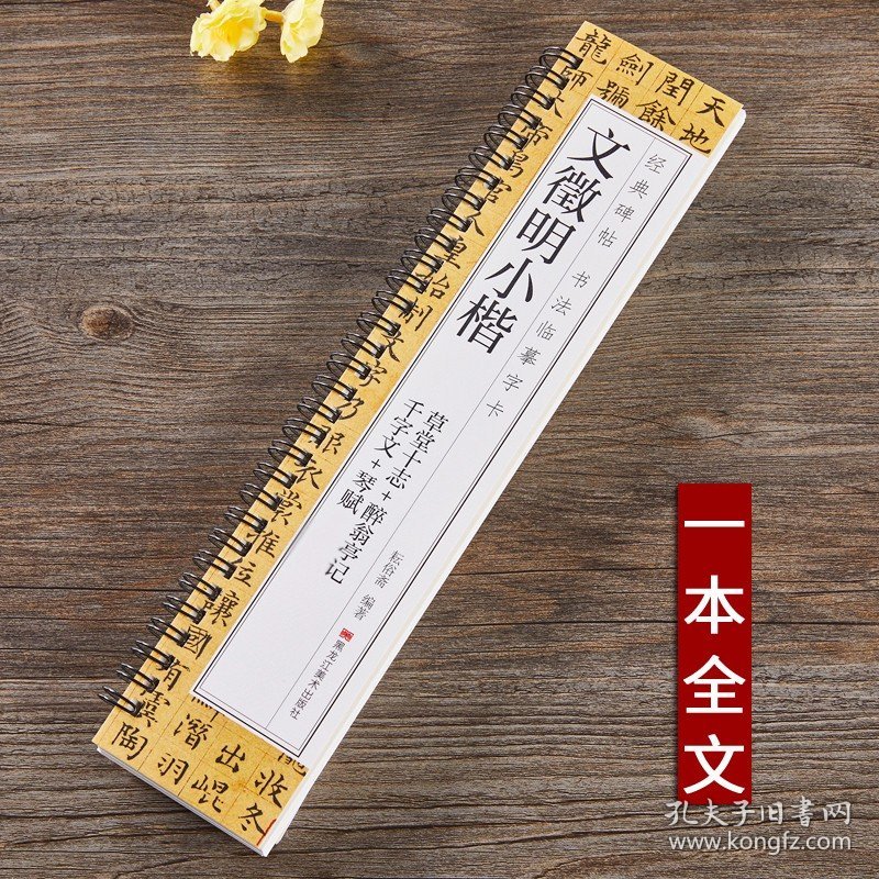 文徵明小楷千字文琴赋草堂十志醉翁亭记文征明硬笔毛笔书法字帖书法成人学生初学入门经典碑帖全文原大版墨迹本近距离临摹字卡