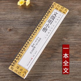 文徵明小楷千字文琴赋草堂十志醉翁亭记文征明硬笔毛笔书法字帖书法成人学生初学入门经典碑帖全文原大版墨迹本近距离临摹字卡