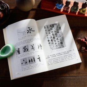 中国历代书法理论研究丛书 解析与图文互证全十册张怀瑾断书 黄庭坚书论 孙过庭书谱 欧阳询三十六法 姜夔续书谱 董其昌画禅室随笔