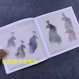 学画宝典中国画技法：工笔孔雀 万利民著 孔雀的画法 国画工笔画翎毛走兽画动物画基础入门步骤讲解教程福建美术出版9787539322414