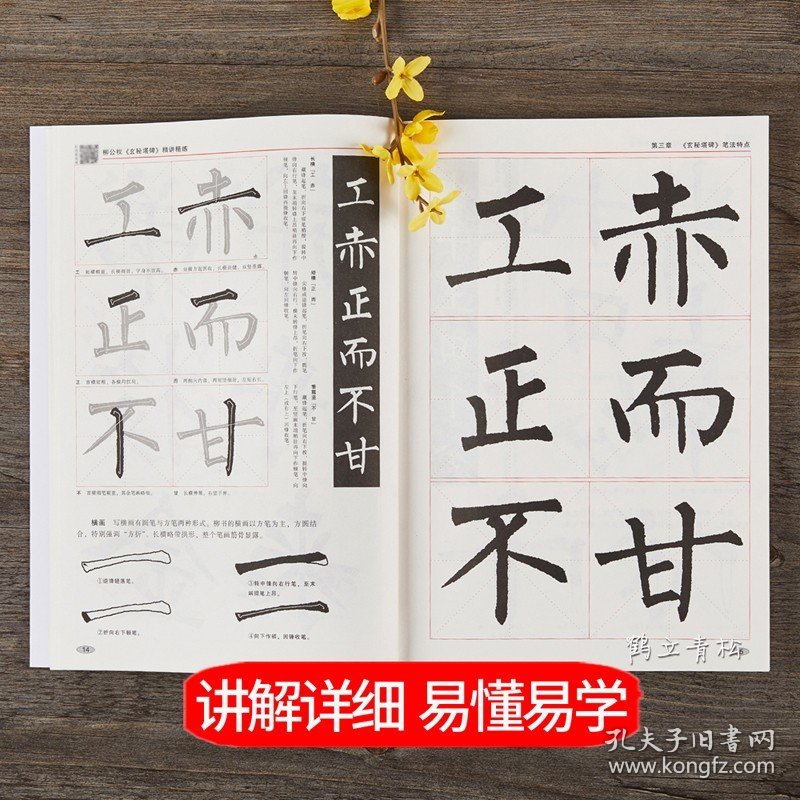 柳公权玄秘塔碑精讲精练毛笔书法等级考试培训教材升级版 视频教学楷书毛笔书法字帖艺术培训教程